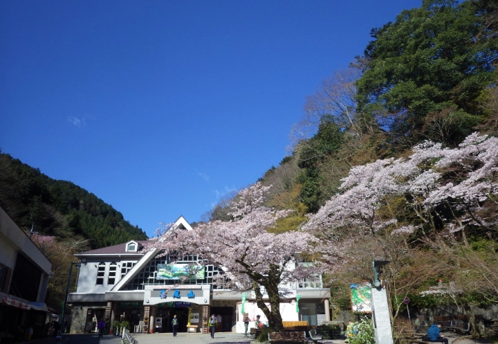 Mt Takao