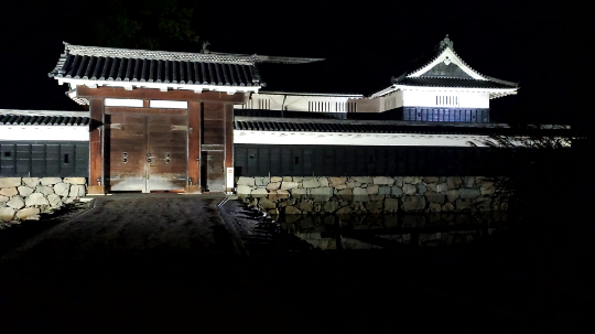 Imposing Taikomon Gate illuminated at night