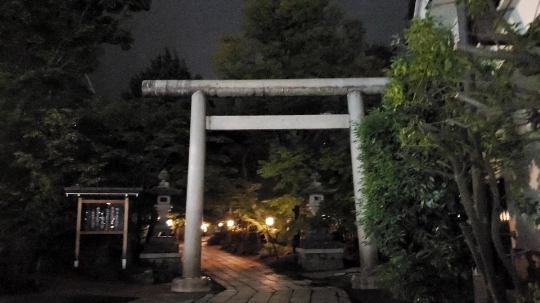 Atmospheric torii gate of Yohashira Shrine illuminated at night