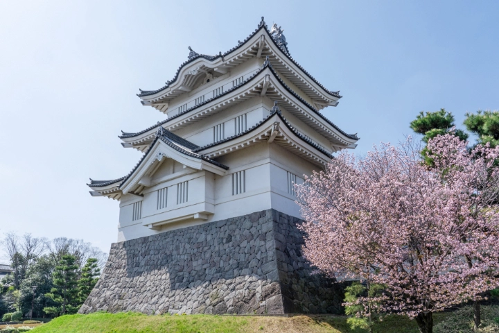 Oshi Castle