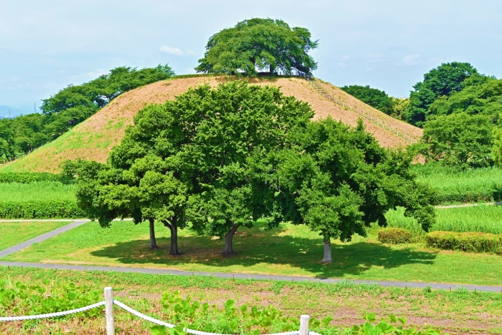 Sakitama Kofun Park