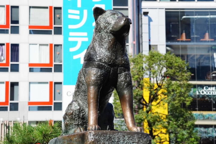 Hachiko Statue