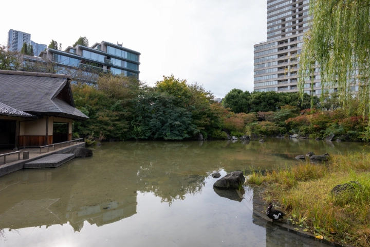 Hinokicho Park