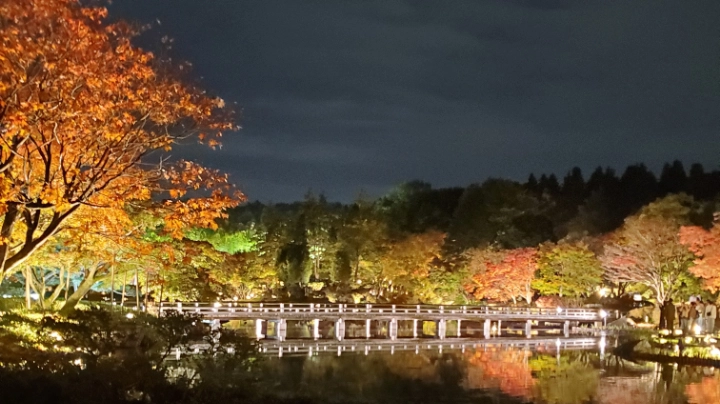 Showa Kinen Park