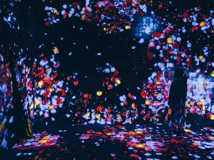 Teamlab Borderless
